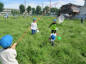 虫探し３