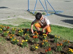 IMG_1544
