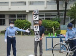 IMG_1567