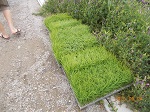 DSCN1798