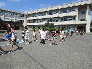 IMG_6230