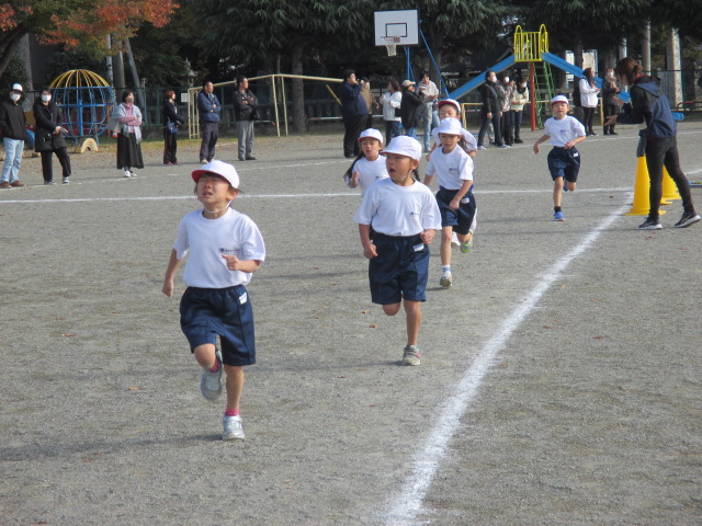 てい4