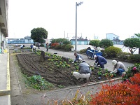 花植え