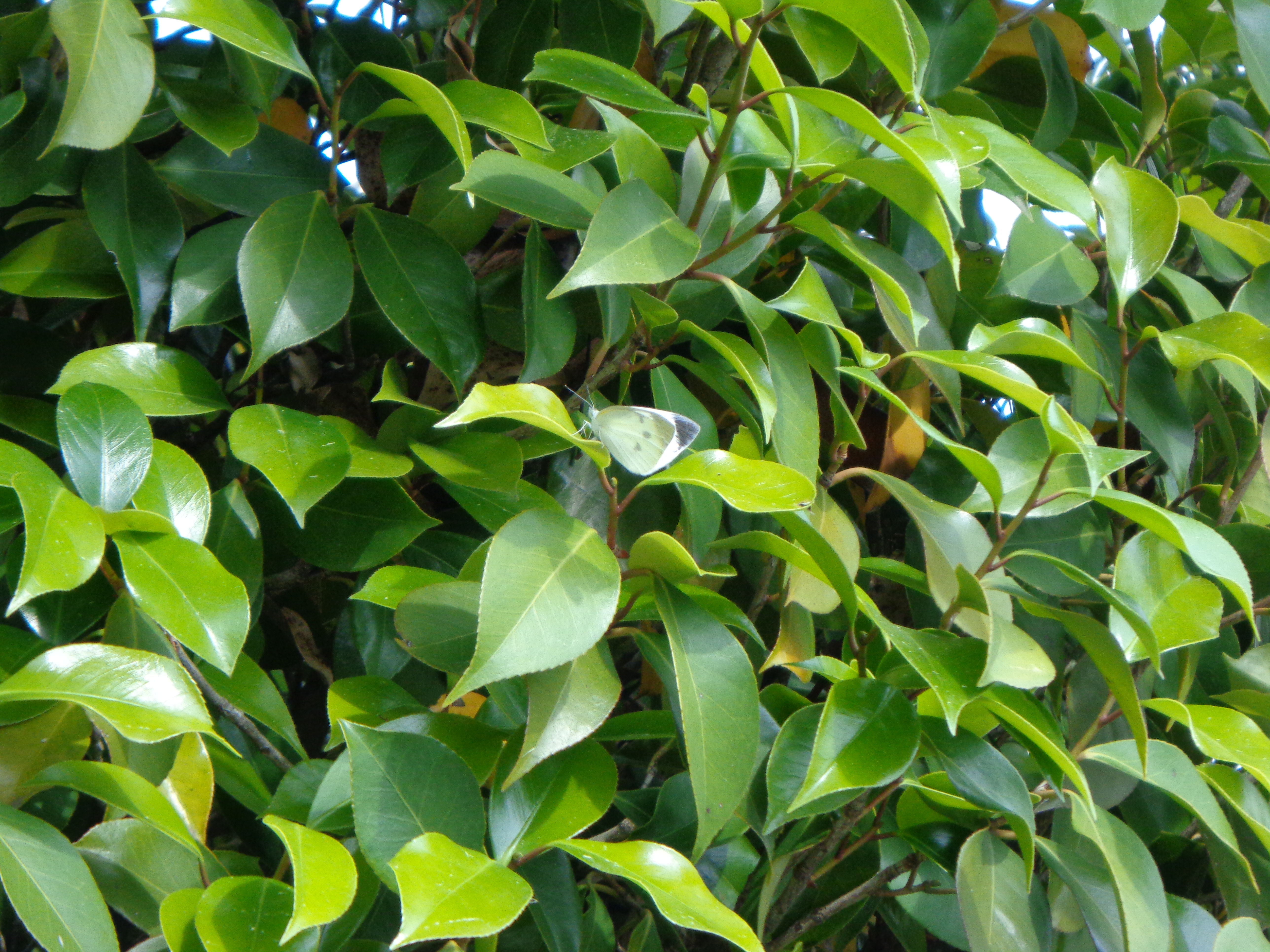 DSC00201