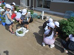 DSCN8227