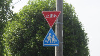 RIMG2563