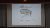 RIMG2795